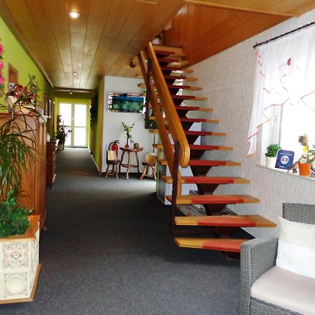 Pension Sonnenhuegel Markersdorf Екстериор снимка