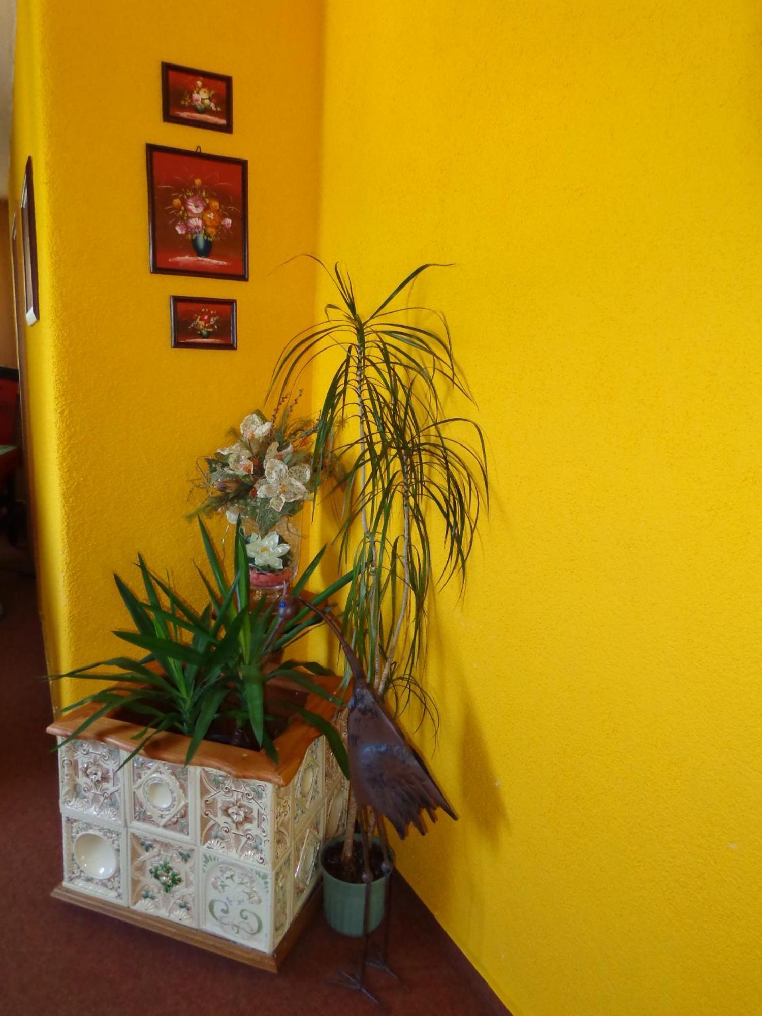 Pension Sonnenhuegel Markersdorf Екстериор снимка