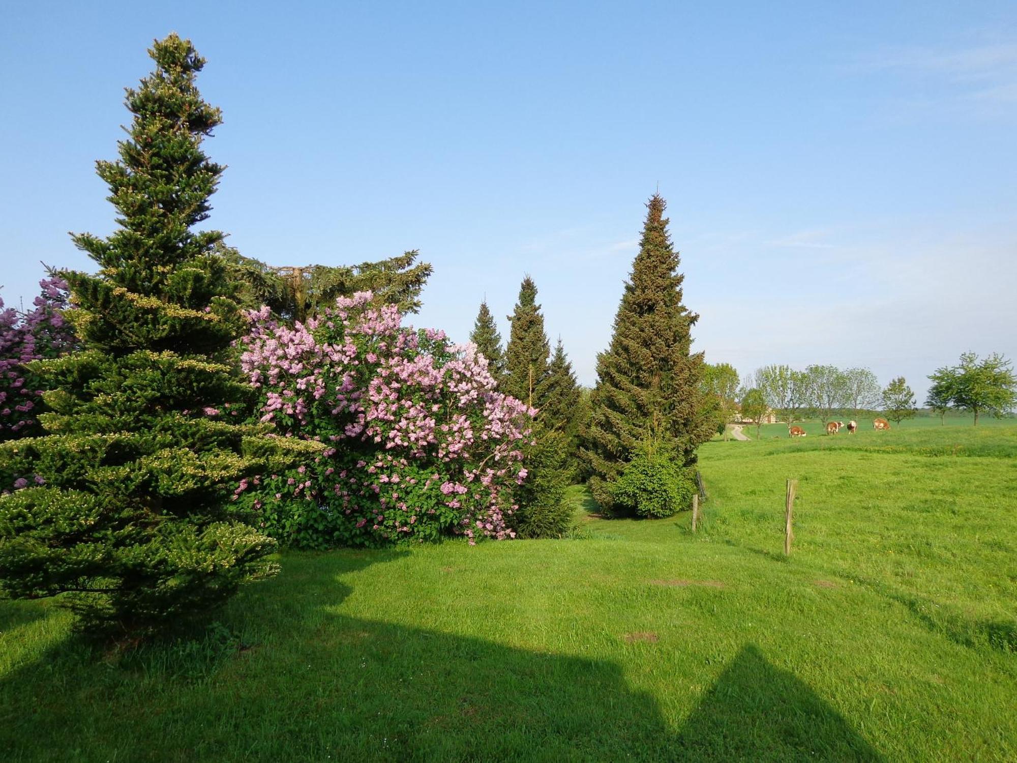 Pension Sonnenhuegel Markersdorf Екстериор снимка