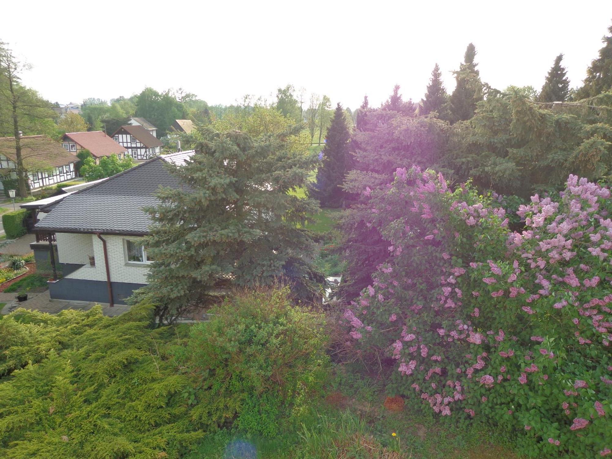Pension Sonnenhuegel Markersdorf Екстериор снимка