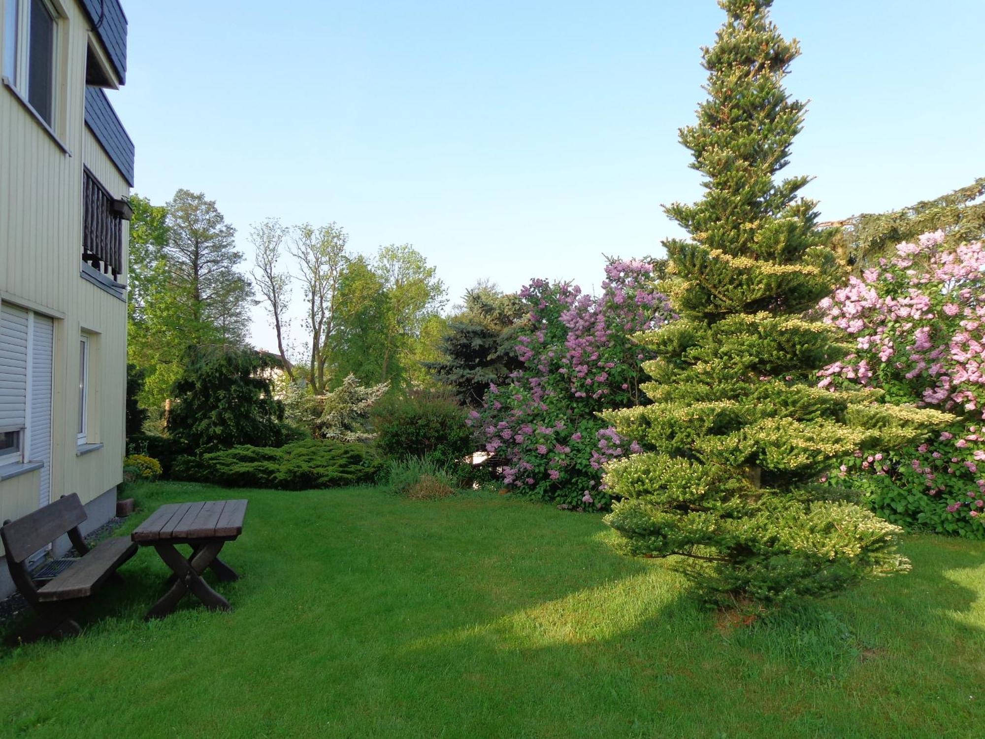 Pension Sonnenhuegel Markersdorf Екстериор снимка